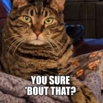 Judgy Cat Judges You | You sure 'bout that? | image tagged in you sure 'bout that | made w/ Imgflip meme maker
