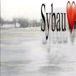Sybau