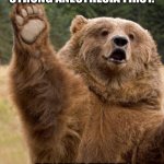 Numb bears | Most zoo dentists refuse
to treat a grizzly without
strong anesthesia first. Because there’s safety in numb bears. | image tagged in bear has a question,puns,dad joke,lame,laugh | made w/ Imgflip meme maker