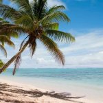 (Blank) on the beach.