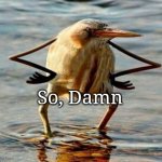 So, Damn Bird Template | So, Damn | image tagged in so blat bird,memes,bird,template | made w/ Imgflip meme maker