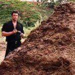 huge shit GIF Template