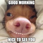 good morning | Good morning; Nice to see you | image tagged in good morning | made w/ Imgflip meme maker