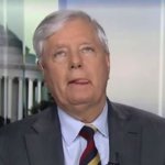 Lindsey Graham Gross