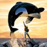 Free willy meme