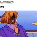 why can she do that | only haki and sharp things can hurt luffy; nami: | image tagged in skinner pathetic,anime,one piece | made w/ Imgflip meme maker