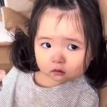 asdf GIF Template