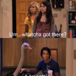 Whatcha got there?