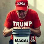 MAGA tears bucket 5 gallon MAGAt