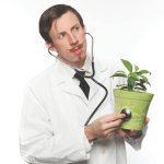 Plant Doctor