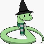 Wizard snake