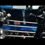 The Champ Looks Tired