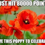 The poppy is because it is ANZAC day | I just hit 80000 points! have this poppy to celebrate! | image tagged in poppies,memes,celebration,lets go | made w/ Imgflip meme maker