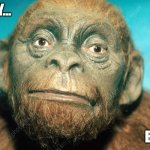 Lucy Really bruh | Really... Bruh? | image tagged in lucy really bruh | made w/ Imgflip meme maker