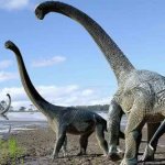 dinosaur mama