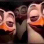 high stoned penguins