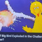What if big bird exploded in the challenger disaster? meme