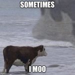 Sometimes Moo I | Sometimes; I moo | image tagged in contemplative cow in surf | made w/ Imgflip meme maker