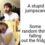A lot of people relate to this | A stupid jumpscare; Some random thing falling out the fridge | image tagged in penguinz0,memes | made w/ Imgflip meme maker