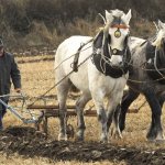 Farming