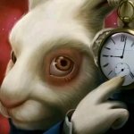 White Rabbit