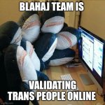 Blahaj team | Blahaj team is; Validating trans people online | image tagged in blahaj | made w/ Imgflip meme maker