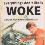 Woke edit