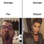 Average ___ fan vs average ___ enjoyer