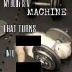 Cat machine