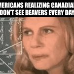 Beaver | Americans realizing Canadians don't see beavers every day | image tagged in gifs,beavers | made w/ Imgflip video-to-gif maker