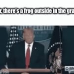 ? | Sir, there’s a frog outside in the grass | image tagged in trump | made w/ Imgflip video-to-gif maker