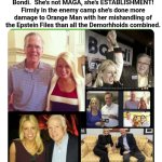 Pam Bondi RINO