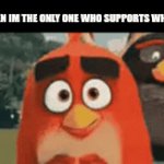 At least this is better than mentioning Flick7 | me when im the only one who supports who_am_i | image tagged in gifs,sad,imgflip,who_am_i,fun | made w/ Imgflip video-to-gif maker