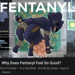 Why does fentanyl feel so good? meme