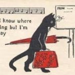 I don't know where i'm going...