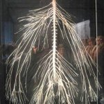 Nervous system