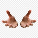 Hand choice