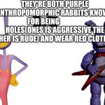 Darn I swear it was all right in the meme generator | They're both purple anthropomorphic rabbits known for being                 holes(ones is aggressive the other is rude) and wear red clothing | image tagged in blank white template | made w/ Imgflip meme maker