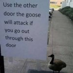 Goose Will Attack
