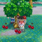 Stupid animal!?