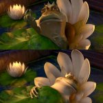Shrek frog meme
