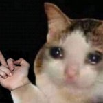 Crying cat middle finger
