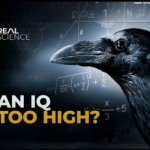 An iq too high