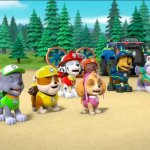 The pups have a good laugh!