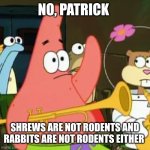 No Patrick | No, Patrick; Shrews are not rodents and rabbits are not rodents either | image tagged in memes,no patrick,rabbits,shrews,rodents | made w/ Imgflip meme maker