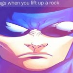 bugs when you lift up a rock (invincible)