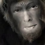 Sallu gorilla