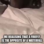 (͠≖ ͜ʖ͠≖) | me realising that a firefly is the opposite of a waterfall | image tagged in please speed i need this,my mom is kinda homeless | made w/ Imgflip video-to-gif maker