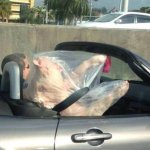 Pig in a car...? meme