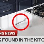 Fork Found in Kitchen template